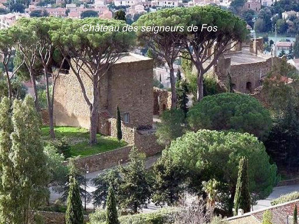 183 D24 BORMES LES MIMOSAS 2_000016.jpg